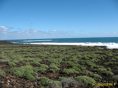 vue de la côte sauvage depuis le parking de Jameos del Agua