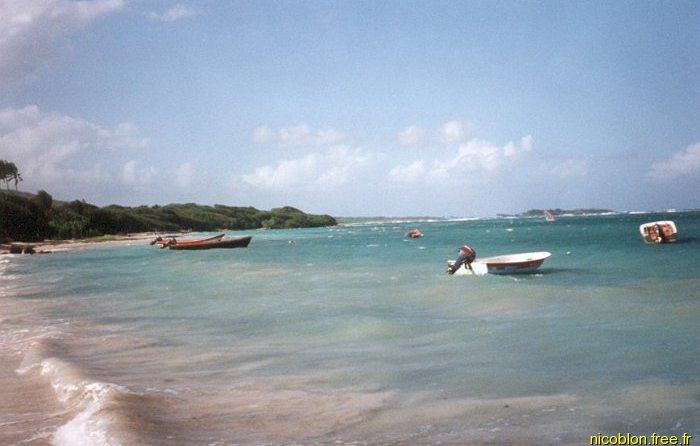Cap Chevalier